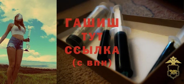 стаф Елизово