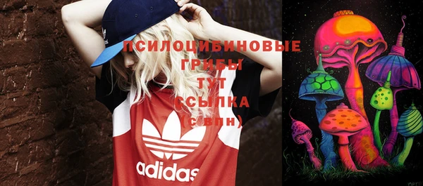 стаф Елизово