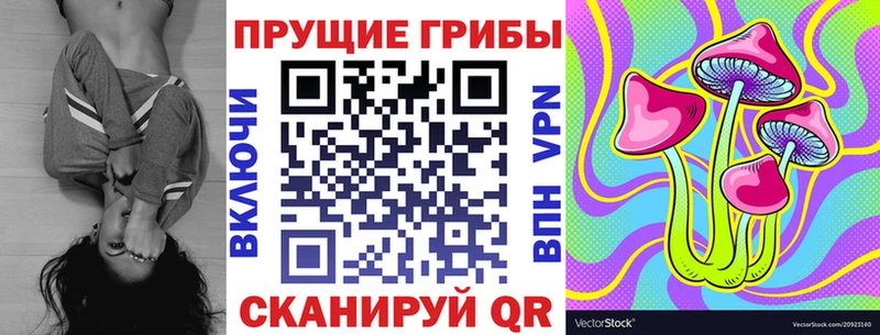 Псилоцибиновые грибы Psilocybine cubensis  Купить  Любим 